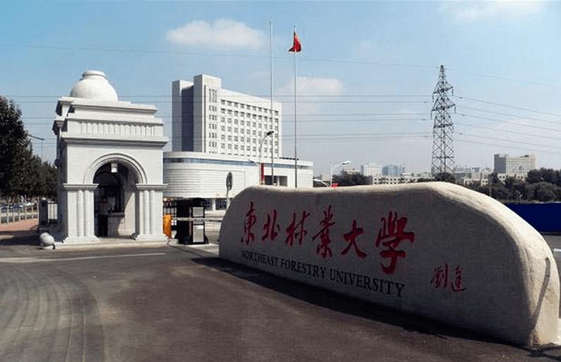 和嘉丨签单远程指导东北林业大学智慧校园机房动环监控项目